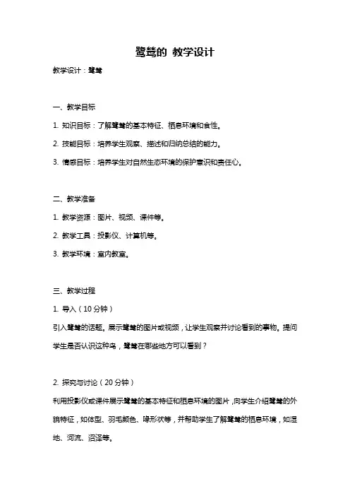 鹭鸶的 教学设计