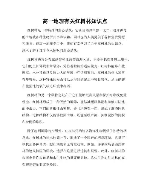高一地理有关红树林知识点