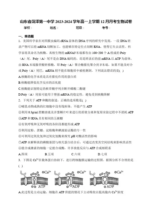山东省菏泽第一中学2023-2024学年高一上学期12月月考生物试卷(含答案)
