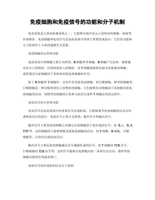 免疫细胞和免疫信号的功能和分子机制