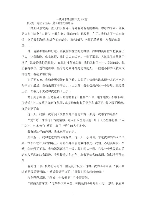 一次难忘的经历作文(5篇)