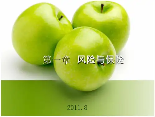 保险理论与实务风险与保险