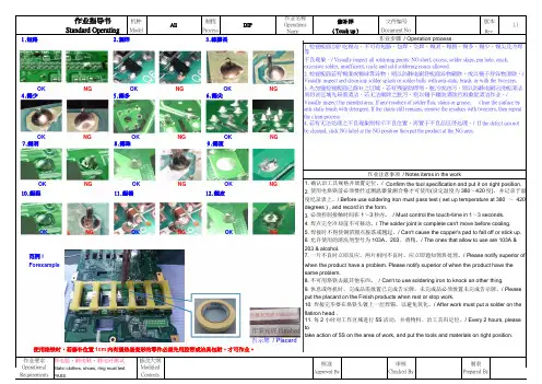 DIP共用作业指导书 (1).pdf