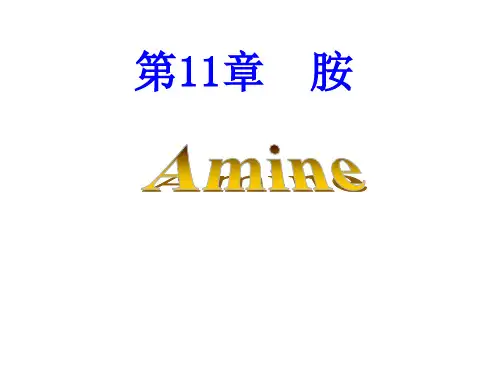 第11章_胺