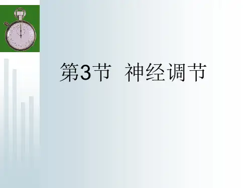 3.3神经调节