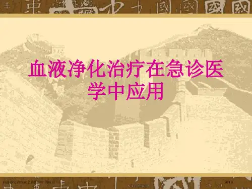 血液净化治疗在急诊医学中的应用专家讲座