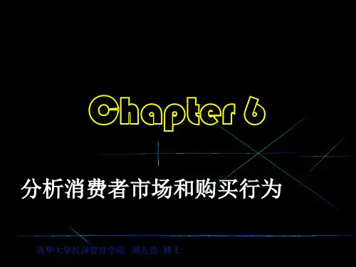 消费者市场及消费者购买能力分析(ppt 72页)