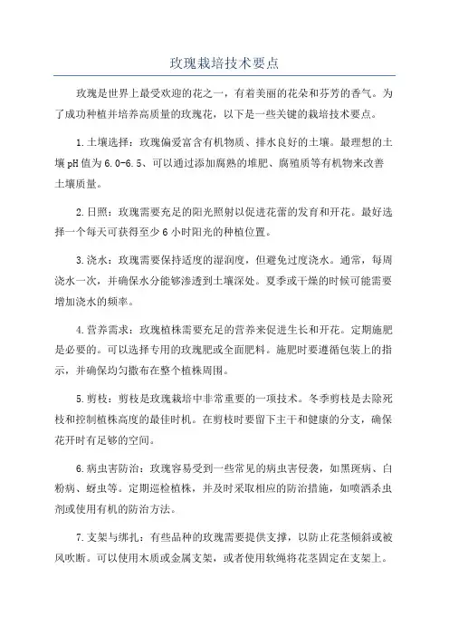 玫瑰栽培技术要点