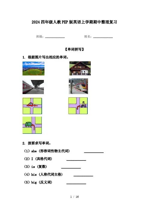 2024四年级人教PEP版英语上学期期中整理复习