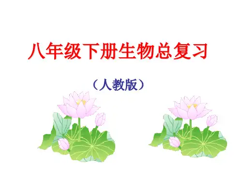 人教版八下生物 总复习 课件(共82张PPT)