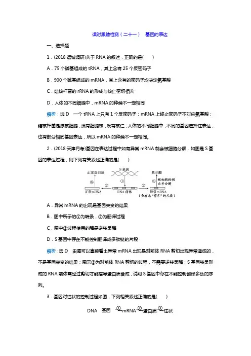 2019高考生物一轮复习课时检测  基因的表达附答案