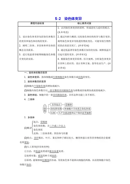人教必修2教案：5-2 染色体变异