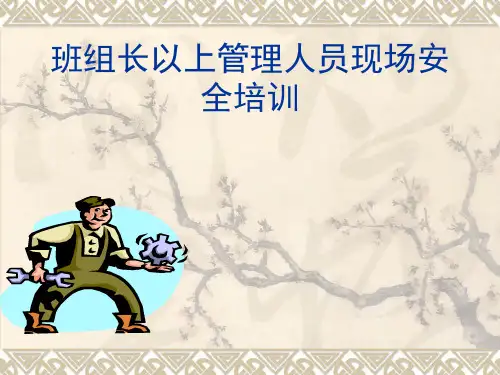 班组长以上管理人员现场安全培训教材(38张)PPT
