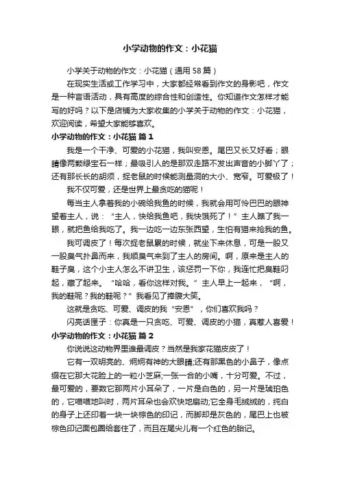 小学动物的作文：小花猫