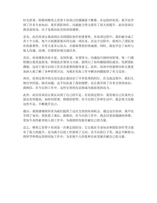 精英之星骨干培训感想