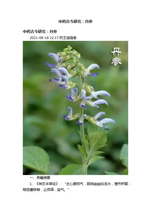 中药古今研究：丹参