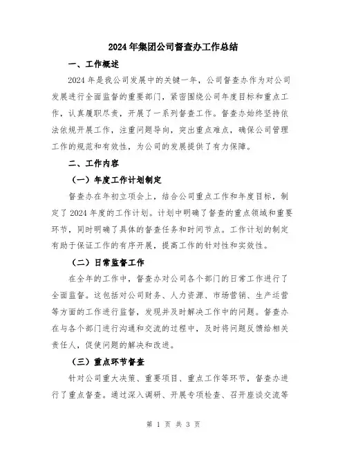 2024年集团公司督查办工作总结