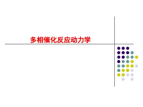 多相催化反应动力学