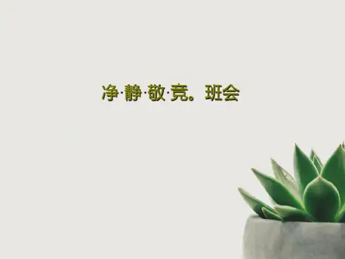 净·静·敬·竞。班会23页PPT