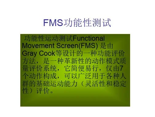 FMS功能性测试
