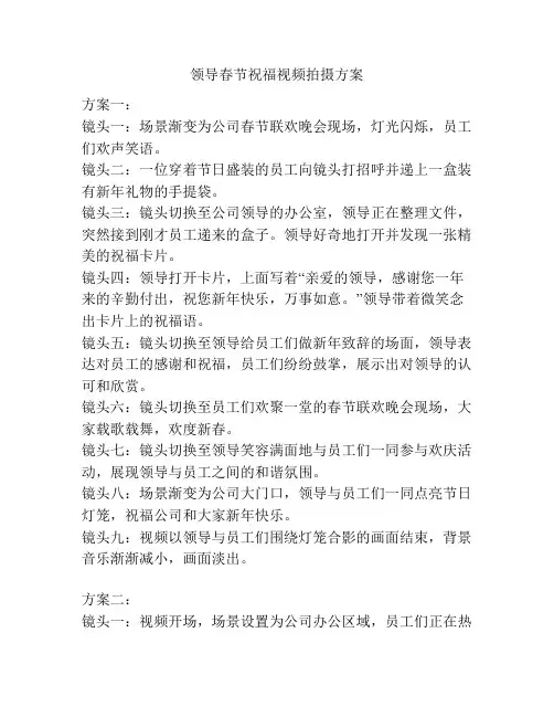 领导春节祝福视频拍摄方案