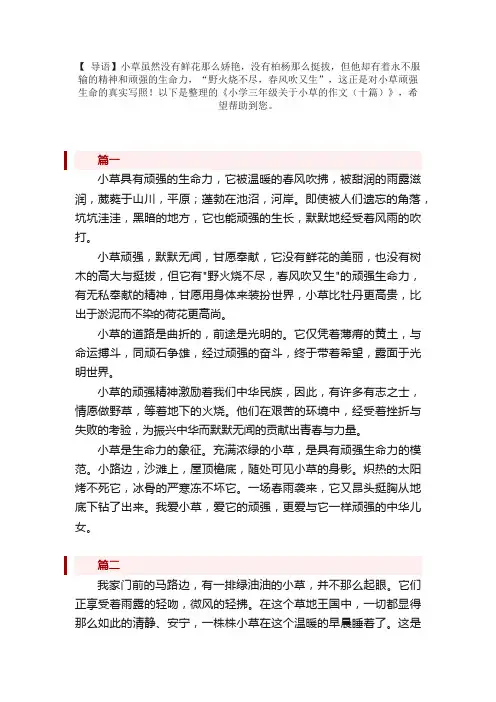 小学三年级关于小草的作文（十篇）