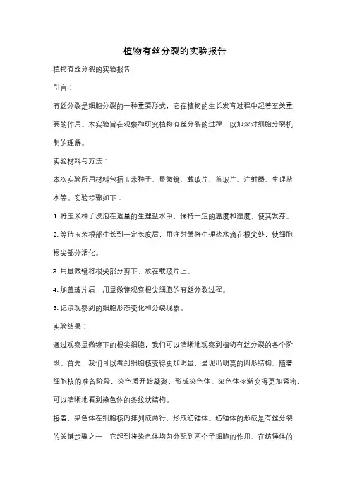 植物有丝分裂的实验报告