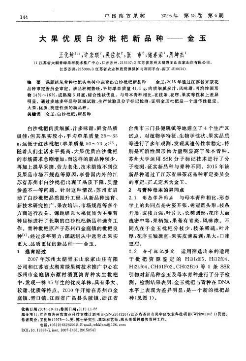 大果优质白沙枇杷新品种——金玉