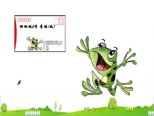 《寄给青蛙的信》课件