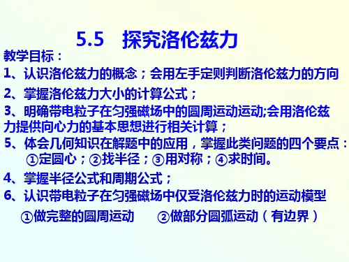 5.5探究洛伦兹力_演示