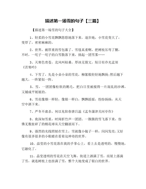 描述第一场雪的句子【三篇】