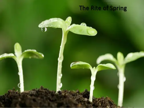 Unit-3-the-rite-of-spring-ppt