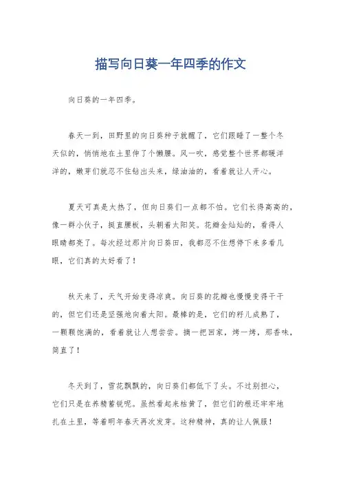 描写向日葵一年四季的作文