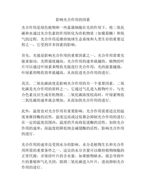 影响光合作用的因素