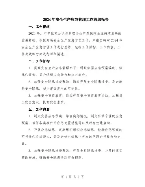 2024年安全生产应急管理工作总结报告