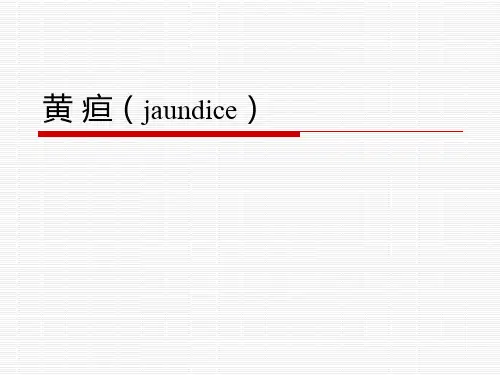 黄 疸-中医课件