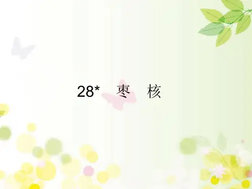 三年级下册语文课件-28 枣核 部编版(共17张PPT)