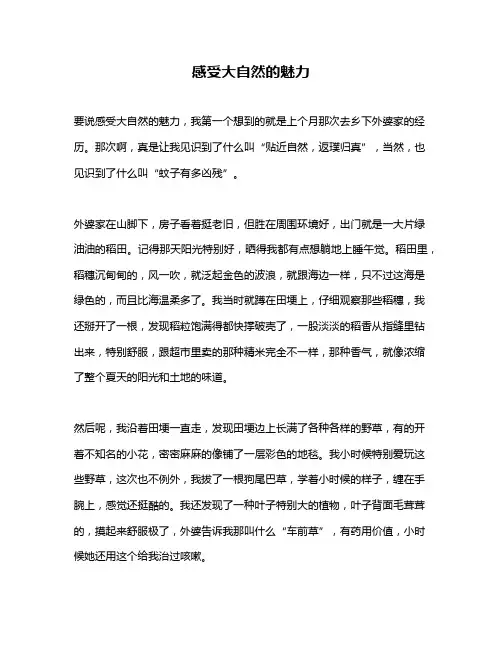 作文《感受大自然的魅力》