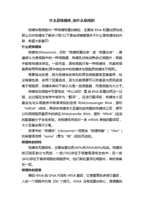 什么是核糖体_由什么组成的