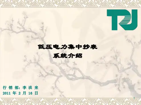 低压电力集中抄表系统介绍课件概要