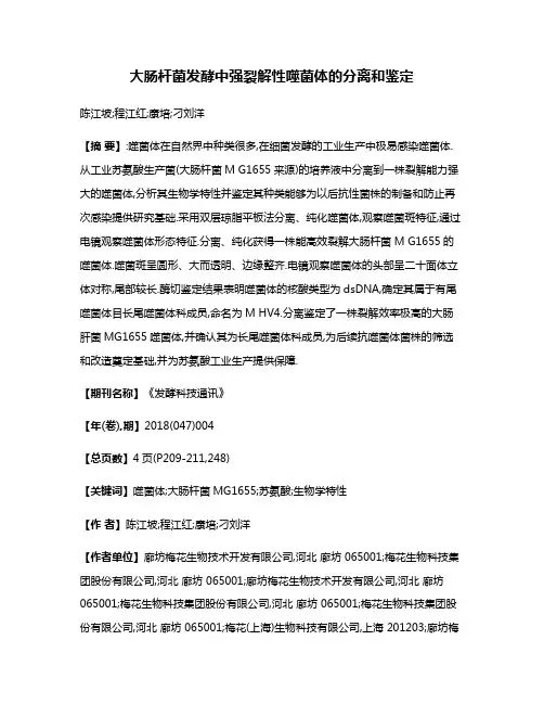大肠杆菌发酵中强裂解性噬菌体的分离和鉴定