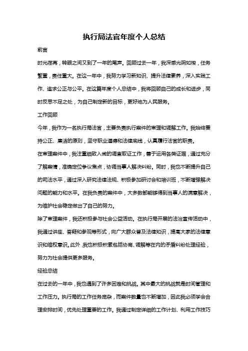 执行局法官年度个人总结