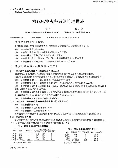 棉花风沙灾害后的管理措施