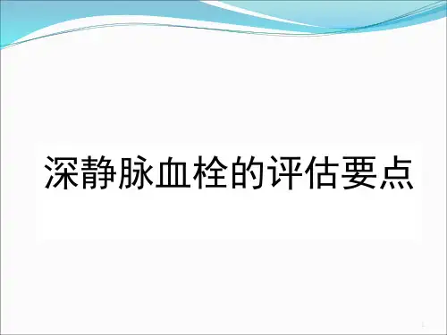 深静脉血栓的评估要点 ppt课件