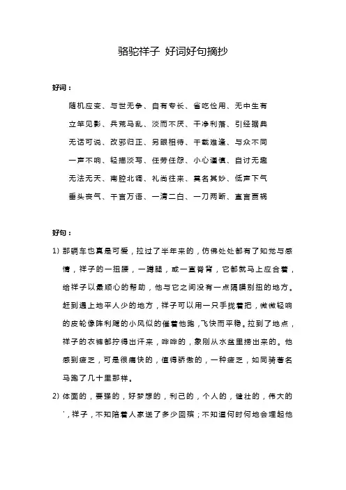 骆驼祥子 好词好句摘抄