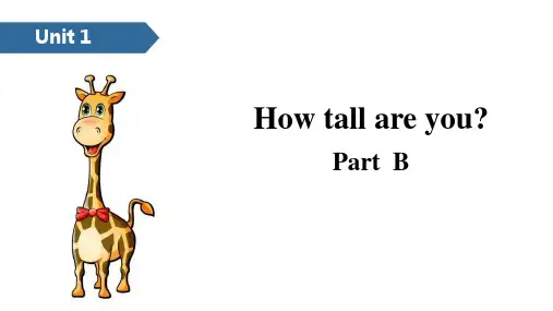 新人教版六年级英语下册《How tall are you》ppt教学课件