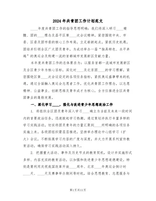 2024年共青团工作计划范文（五篇）