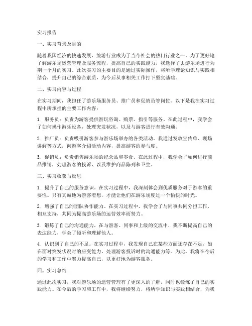 去游乐场的实习报告