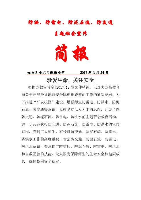 防洪、防雷电、防泥石流主题班会简报