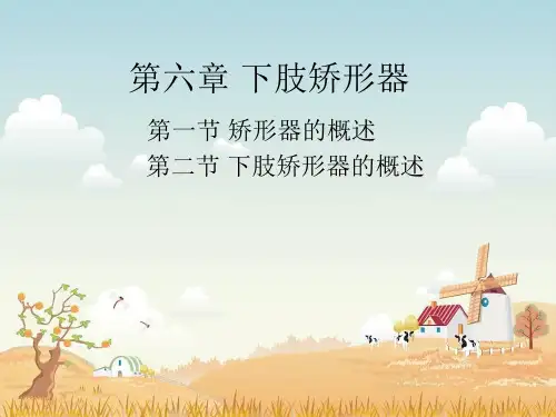 假肢与矫形器